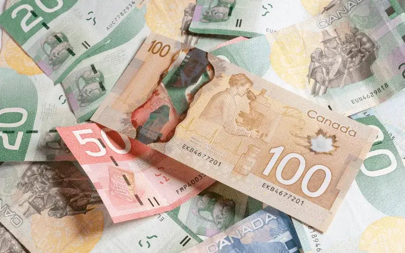 CANADIAN-OWNED VS. CANADIAN-MADE - True North Deals