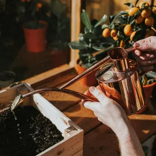 Person watering plants with a copper watering can indoors.