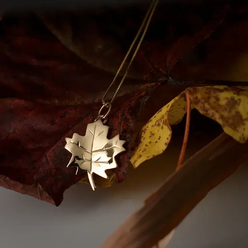 Gold maple leaf pendant necklace resting on autumn leaves – Indigenous-designed jewellery from Canadian-owned Sapling & Flint