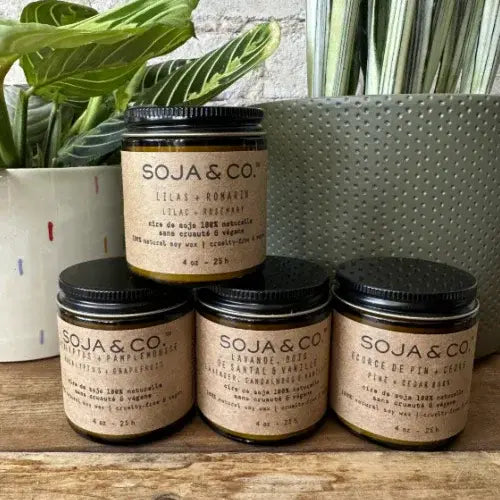 Four jars of SOJA & CO. on a wooden surface with plants in the background