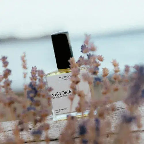 Perfume bottle labelled 'Victoria' with lavender flowers in the foreground