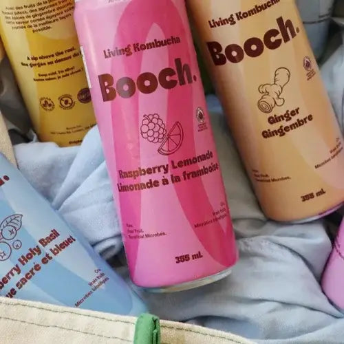 Assorted Booch drinks in different flavours on a textured surface