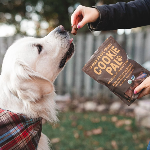 A golden retriever wearing a red plaid bandana looks up as a hand offers it a dog cookie from a brown bag of Human Grade Organic Cookie Pals treats in an outdoor setting.