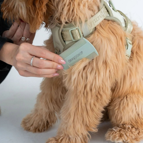 A small tan dog wearing a light olive harness while a person holds a matching rectangular device labelled 'dexypaws' against its side. The photo is cropped tightly with a plain light background.