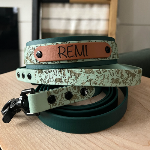 Dog collar with 'REMI' tag on a wooden surface