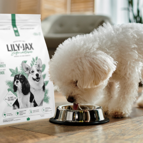White dog eating from a bowl next to a bag of Lily & Jax pet food on a wooden surface.