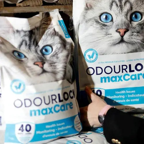A hand reaching for a blue and white bag of OdourLock cat litter
