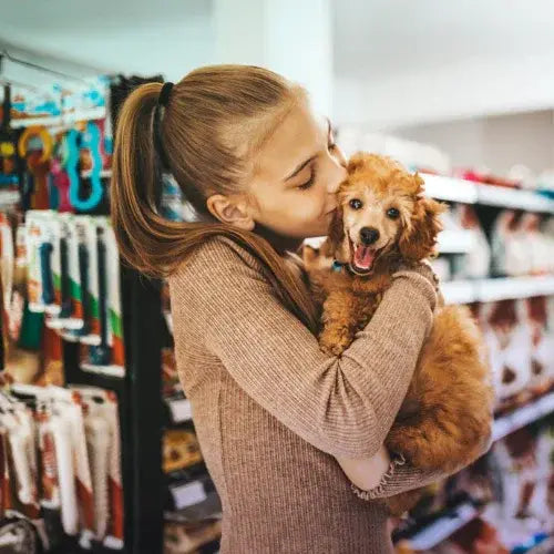 A young woman lovingly hugs and kisses a happy brown poodle puppy while shopping in a pet store. They are standing in front of shelves stocked with dog toys and supplies, creating a joyful and heartwarming moment.
