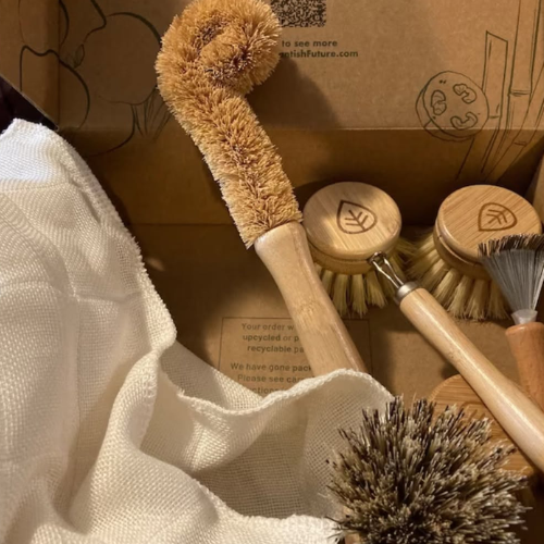 A set of Plantish natural bamboo and wood kitchen cleaning brushes arranged in a kraft paper box with a white cloth. The set includes a spiral-handled scrubber, round-handled brush with a leaf logo, a flat brush, and a dark bristle brush.