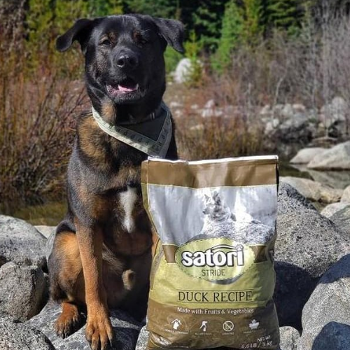 Dog sitting on rocks with a Satori Stride Duck Recipe dog food bag in front of a natural background