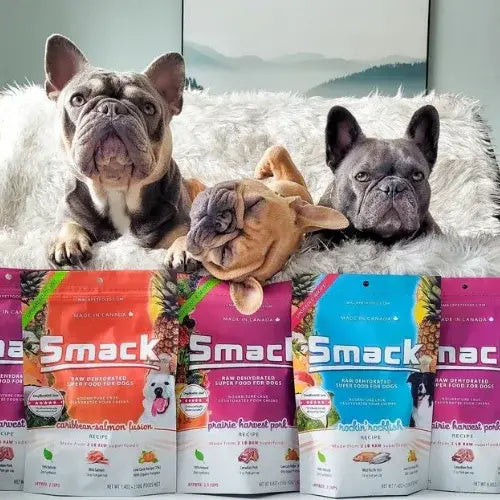 Three dogs sitting behind Smack raw dehydrated pet food packages on a white surface.
