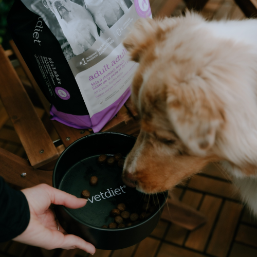 Dog eating from a bowl with a VetDiet package in the background